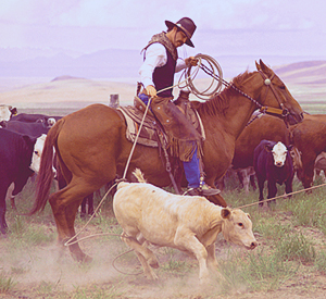 Whitehorse Ranch, Fields, Oregon, by Kurt Markus