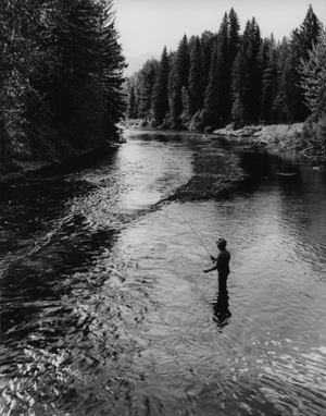 Fishing in the Swan River near Salmon Prairie, by K.D. Swan